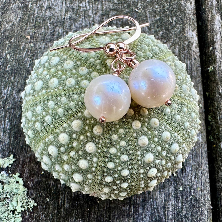 Simple white freshwater pearl earrings