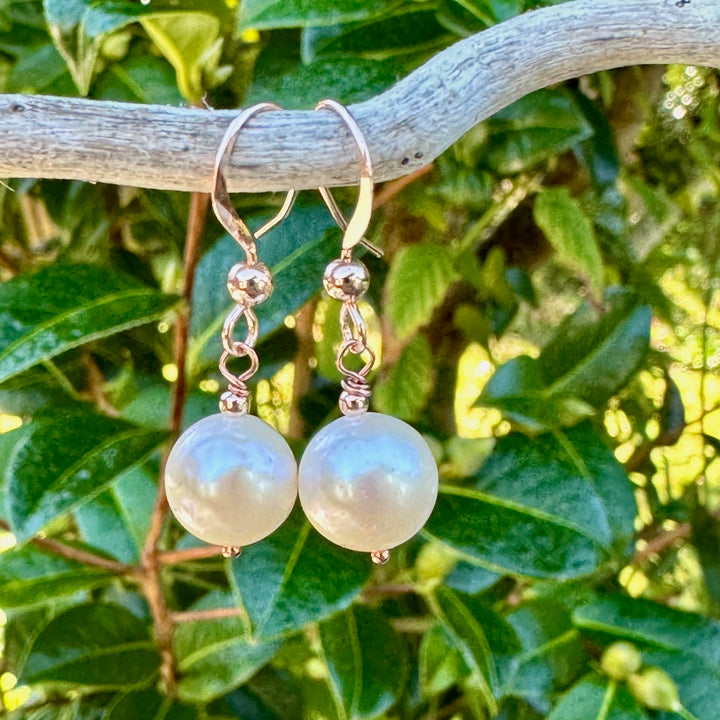 Simple white freshwater pearl earrings