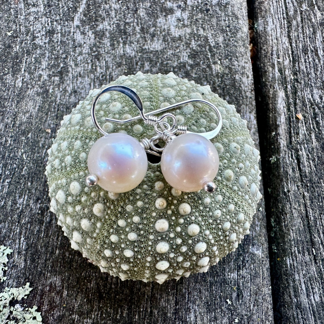 Simple white freshwater pearl earrings