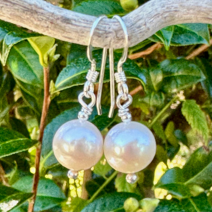 Simple white freshwater pearl earrings