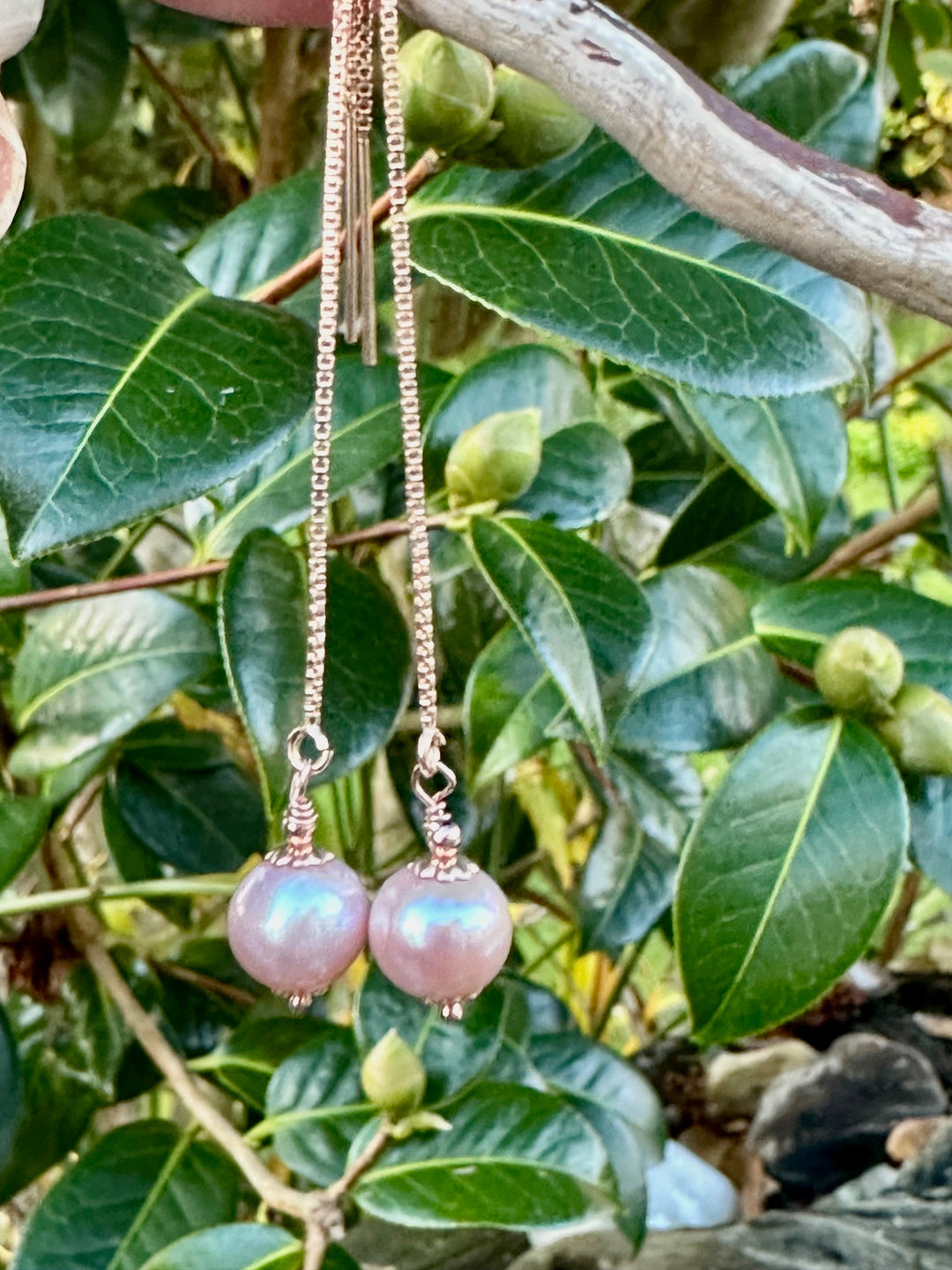 Pink freshwater pearl earrings