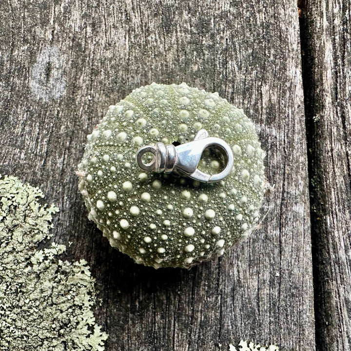 large swivel clasp