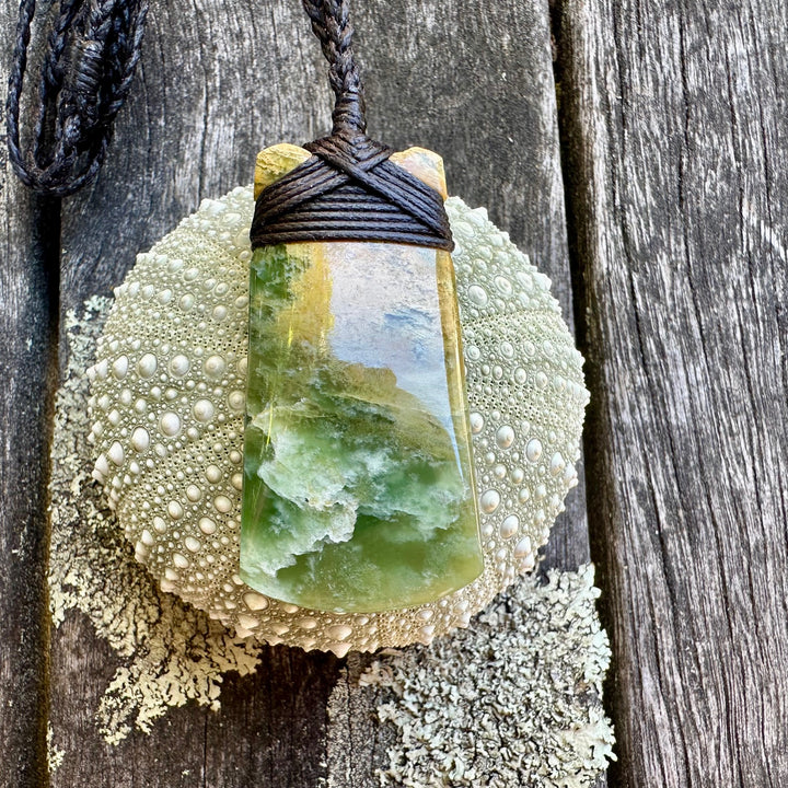 Small marsden flower toki