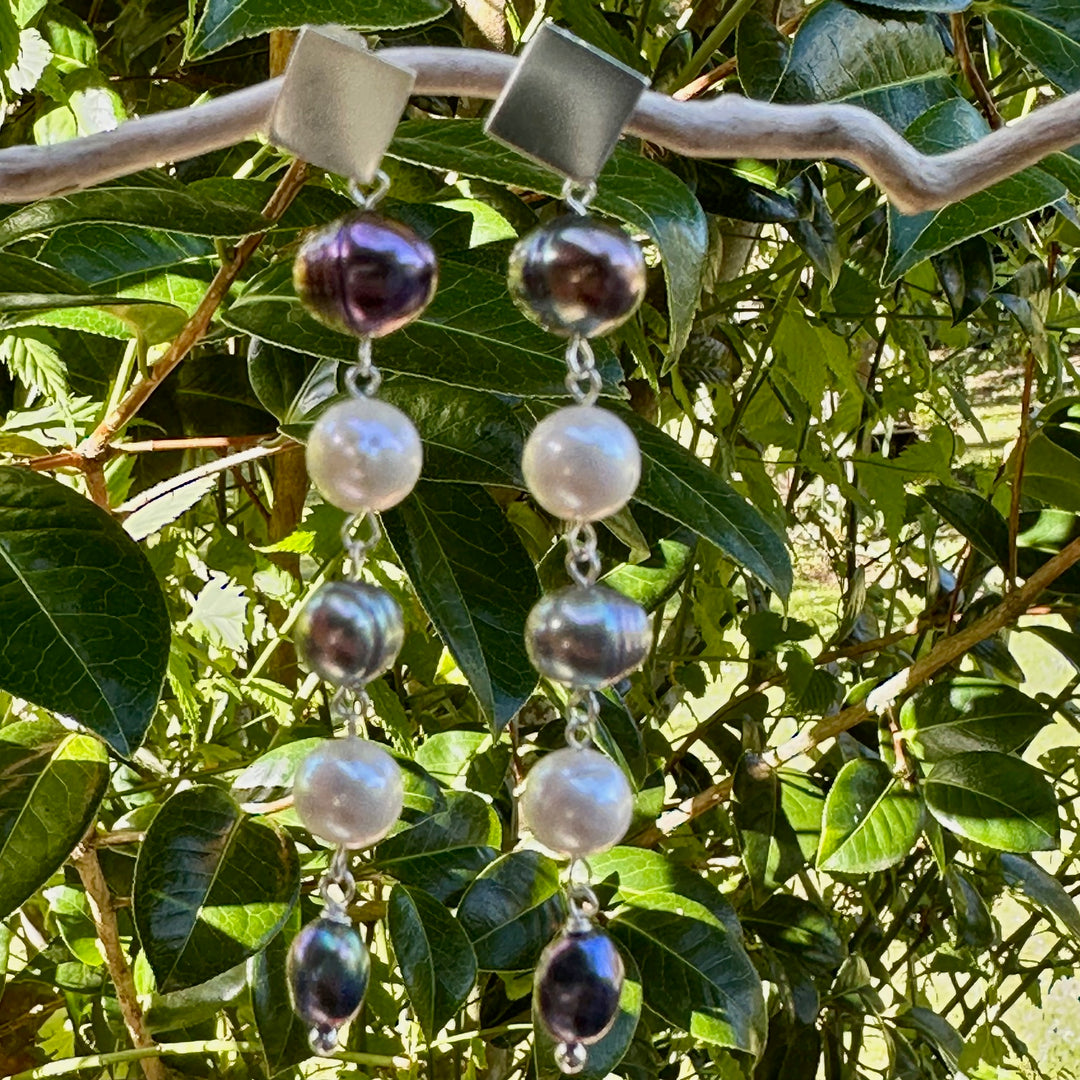 Inverted white & peacock freshwater pearl earrings
