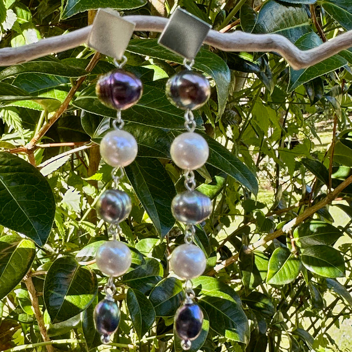 Inverted white & peacock freshwater pearl earrings