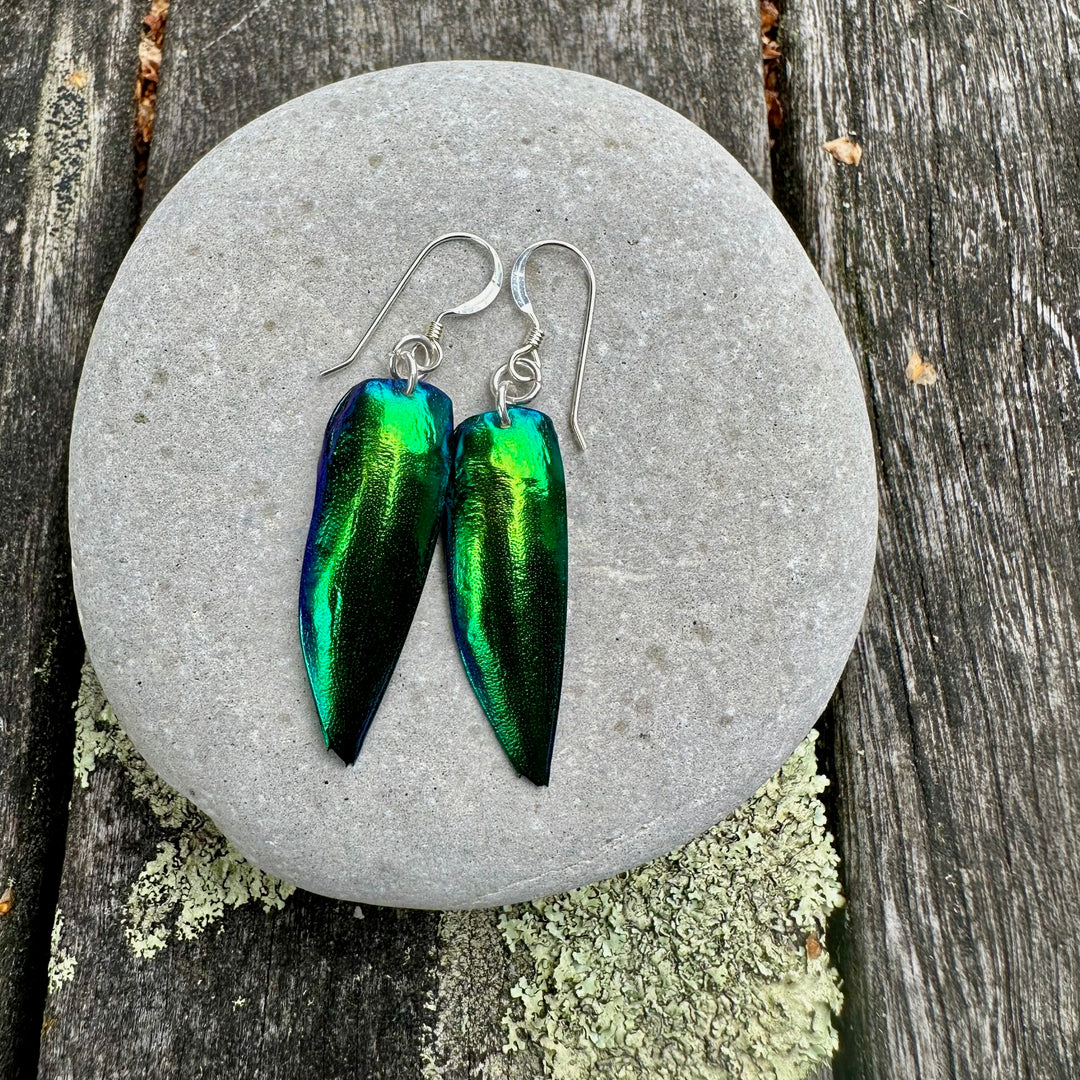 Scarab beetle wing earrings