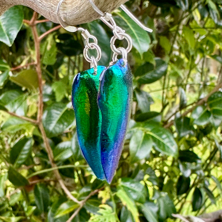 Scarab beetle wing earrings