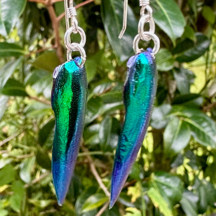 Scarab beetle wing earrings