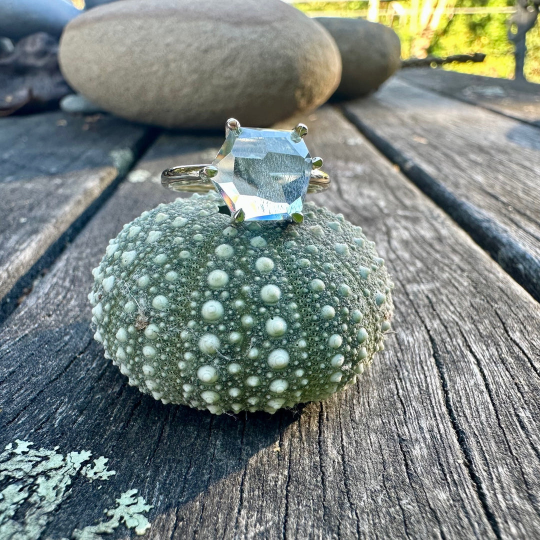 3.88ct Freeform aquamarine ring
