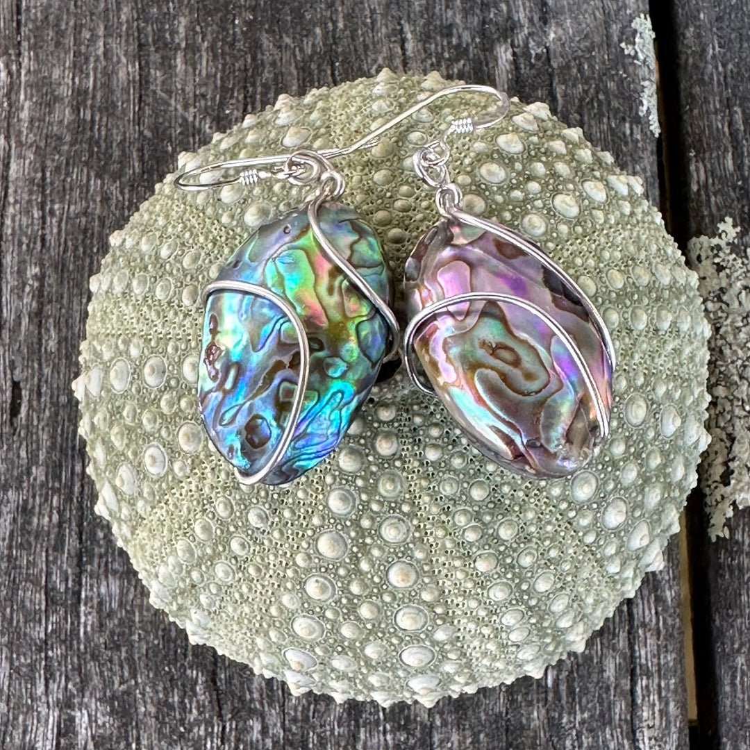 Sterling wrapped pāua corner earrings