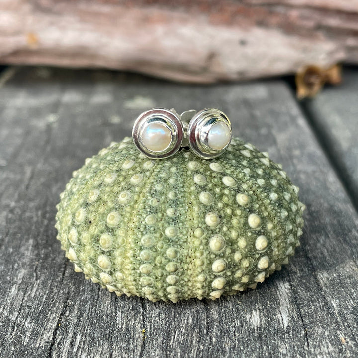 White freshwater pearl studs