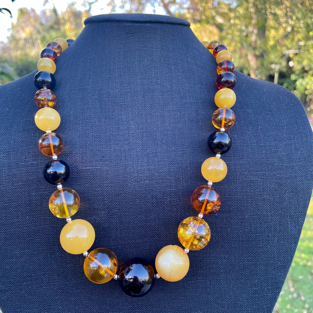 Graduated Baltic Amber necklace