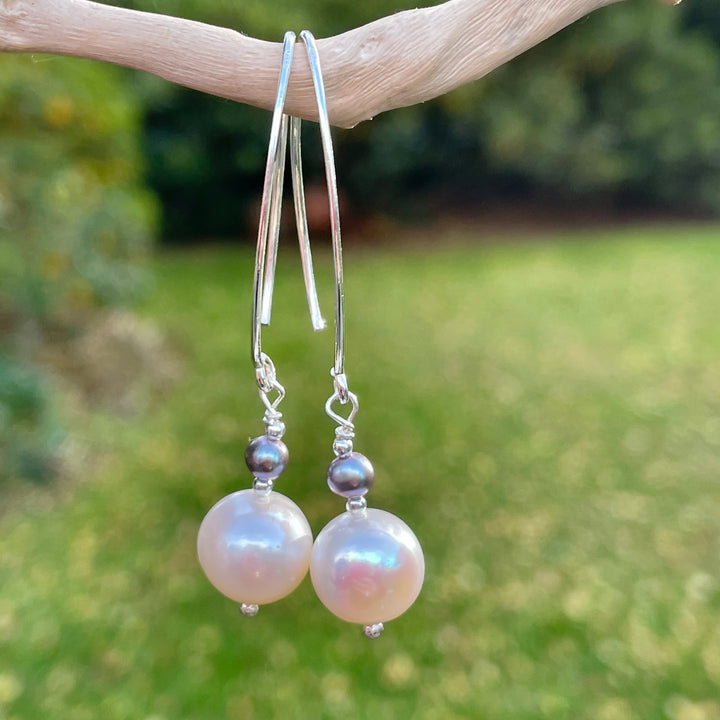 White and peacock freshwater pearl earrings