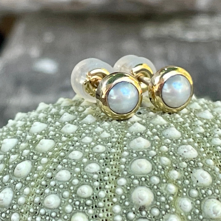 9ct Gold White freshwater pearl earring studs